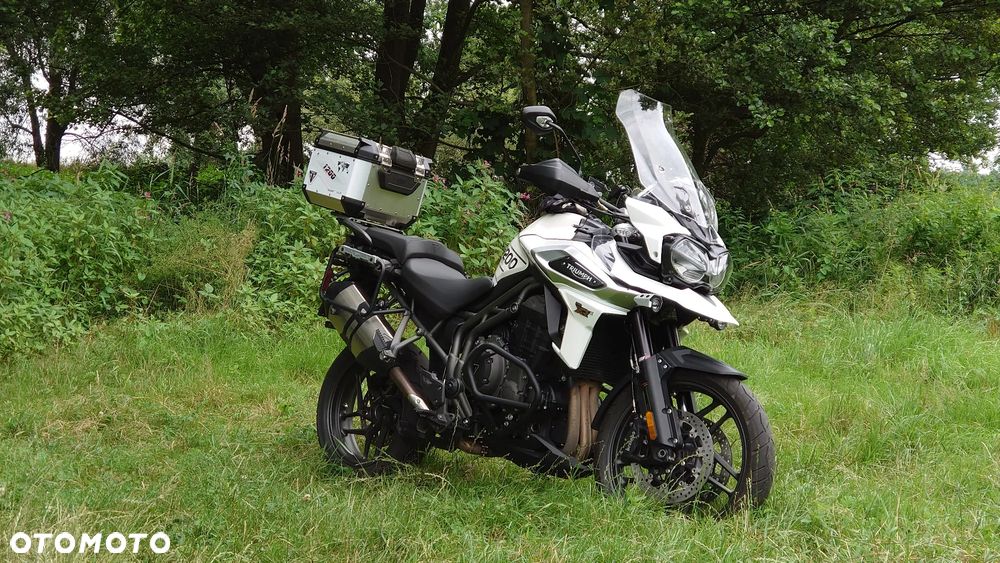 Triumph Tiger - 3