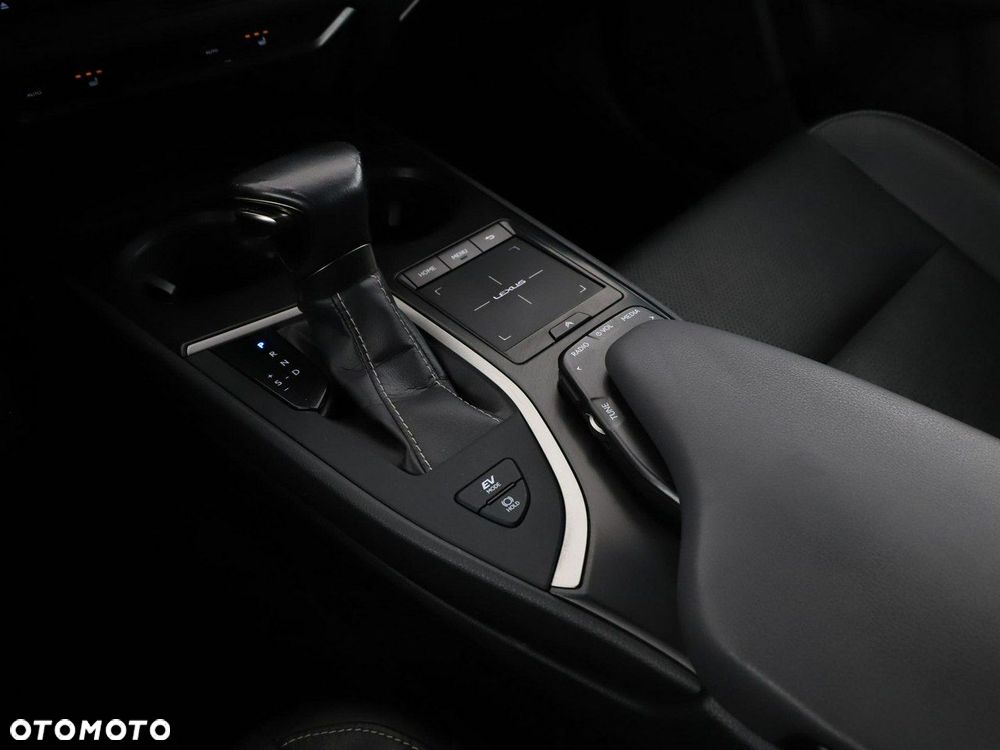Lexus UX 250h - 30