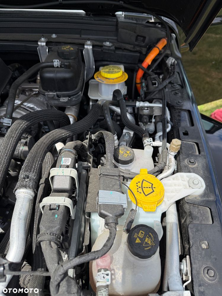 Jeep Wrangler - 31
