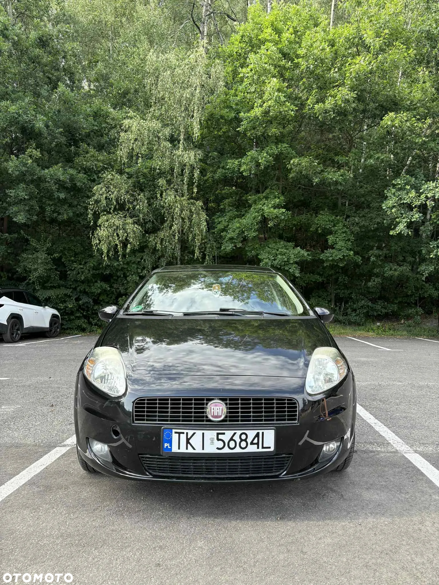 Fiat Punto 1.2 8V Classic - 2
