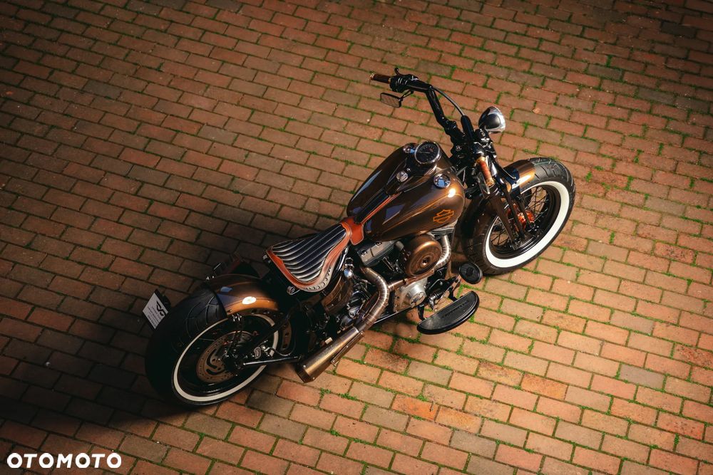 Harley-Davidson Softail Cross Bones - 16