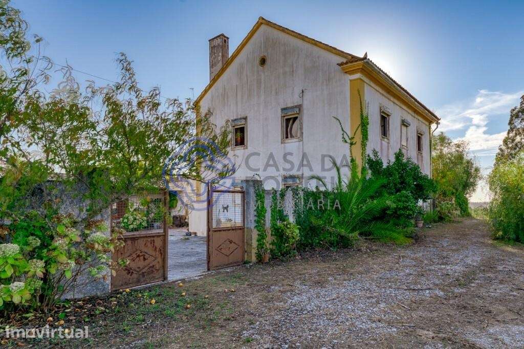 Quintinha Rural com 2 hectares, casa de 2 andares e abundância de água - Grande imagem: 2/57