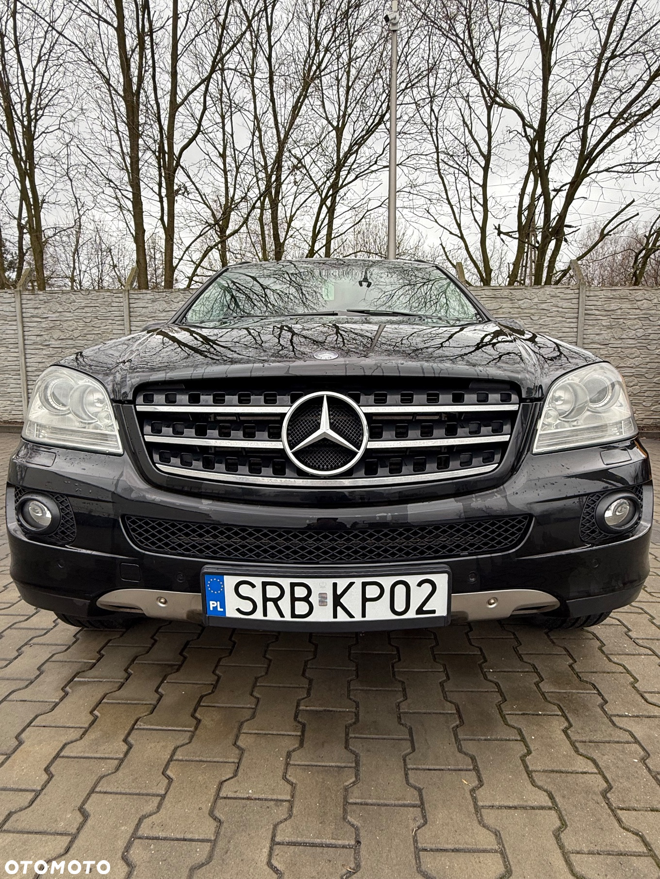 Mercedes-Benz ML - 12