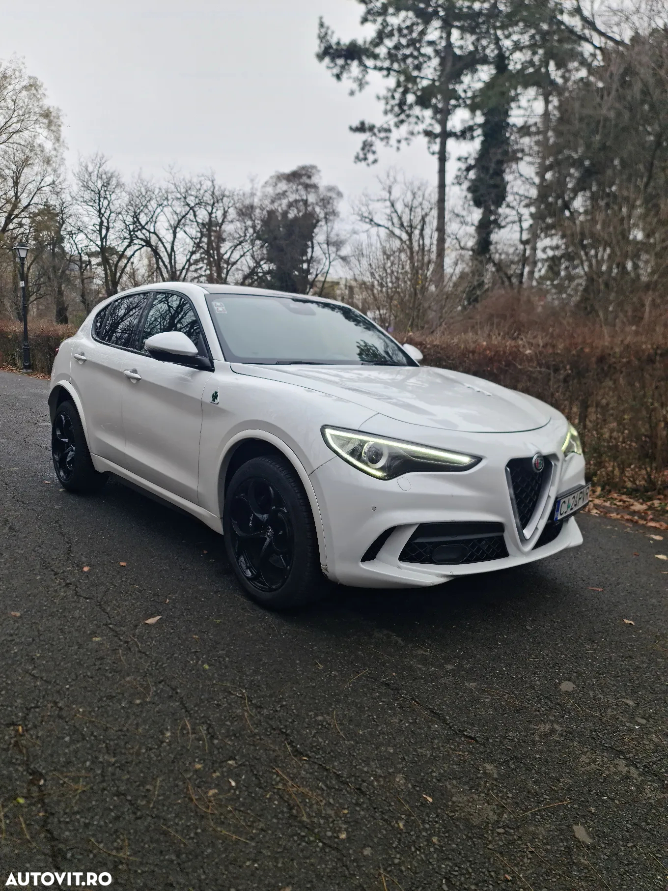 Alfa Romeo Stelvio 2.9 V6 Turbo AWD AT8 Quadrifoglio - 9