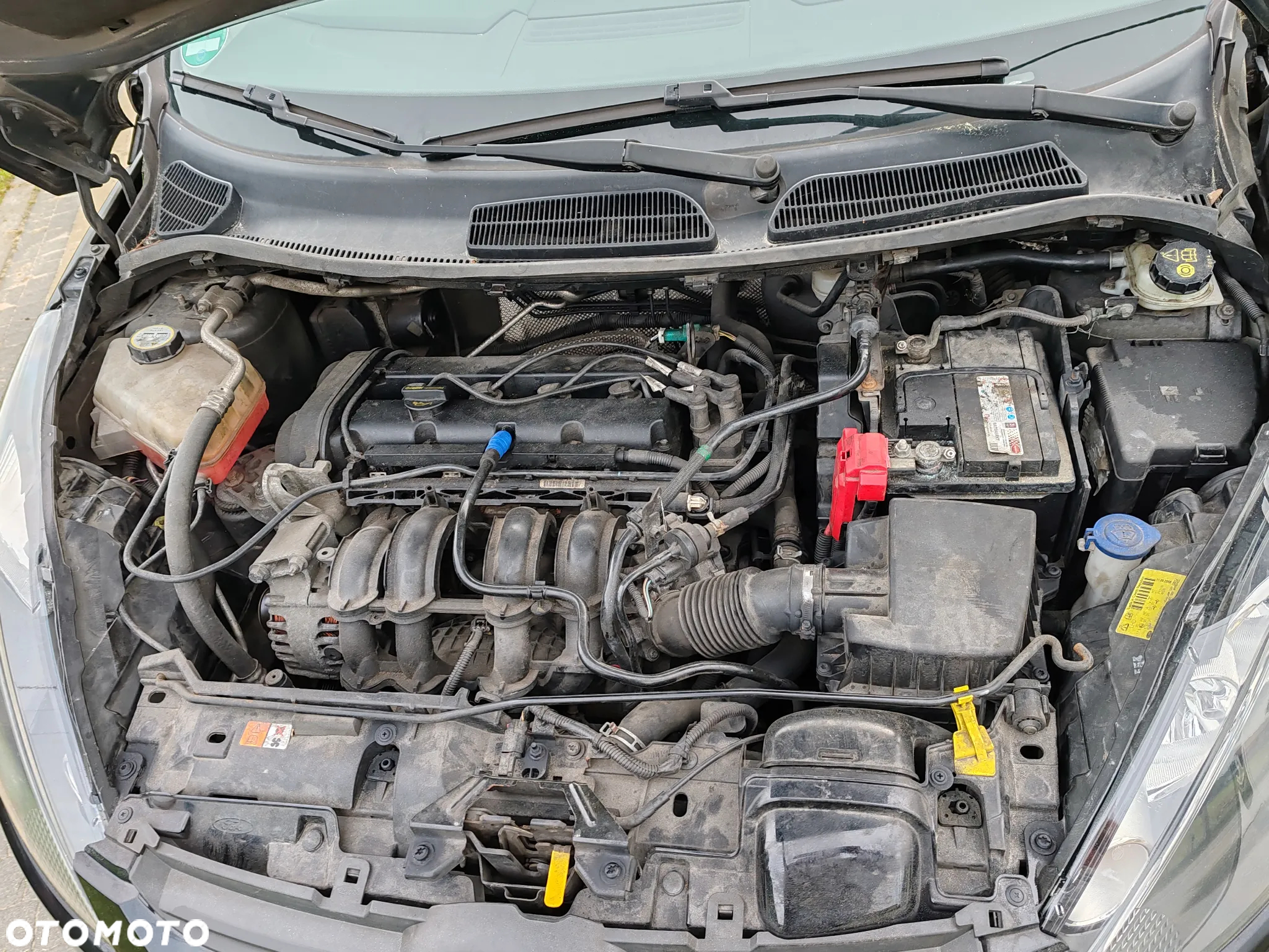 Ford Fiesta - 4
