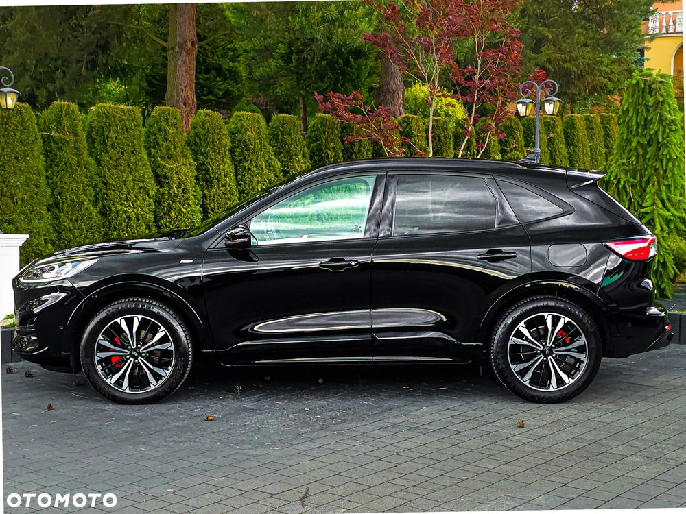 Ford Kuga 2.0 EcoBlue 4x4 ST-LINE X - 12