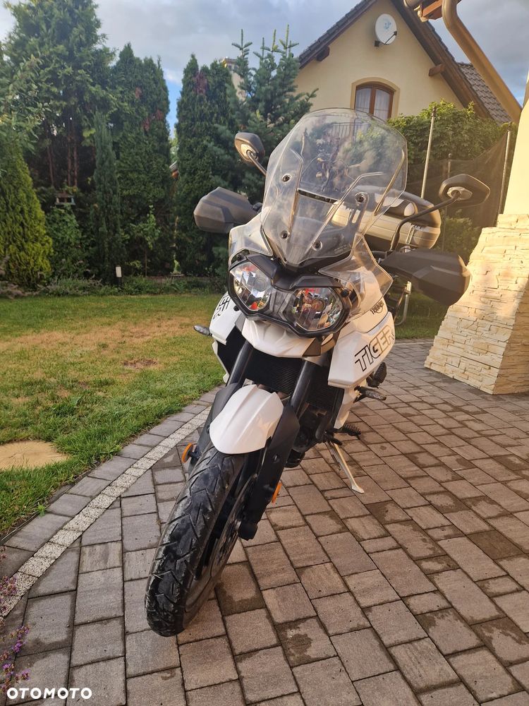 Triumph Tiger - 5