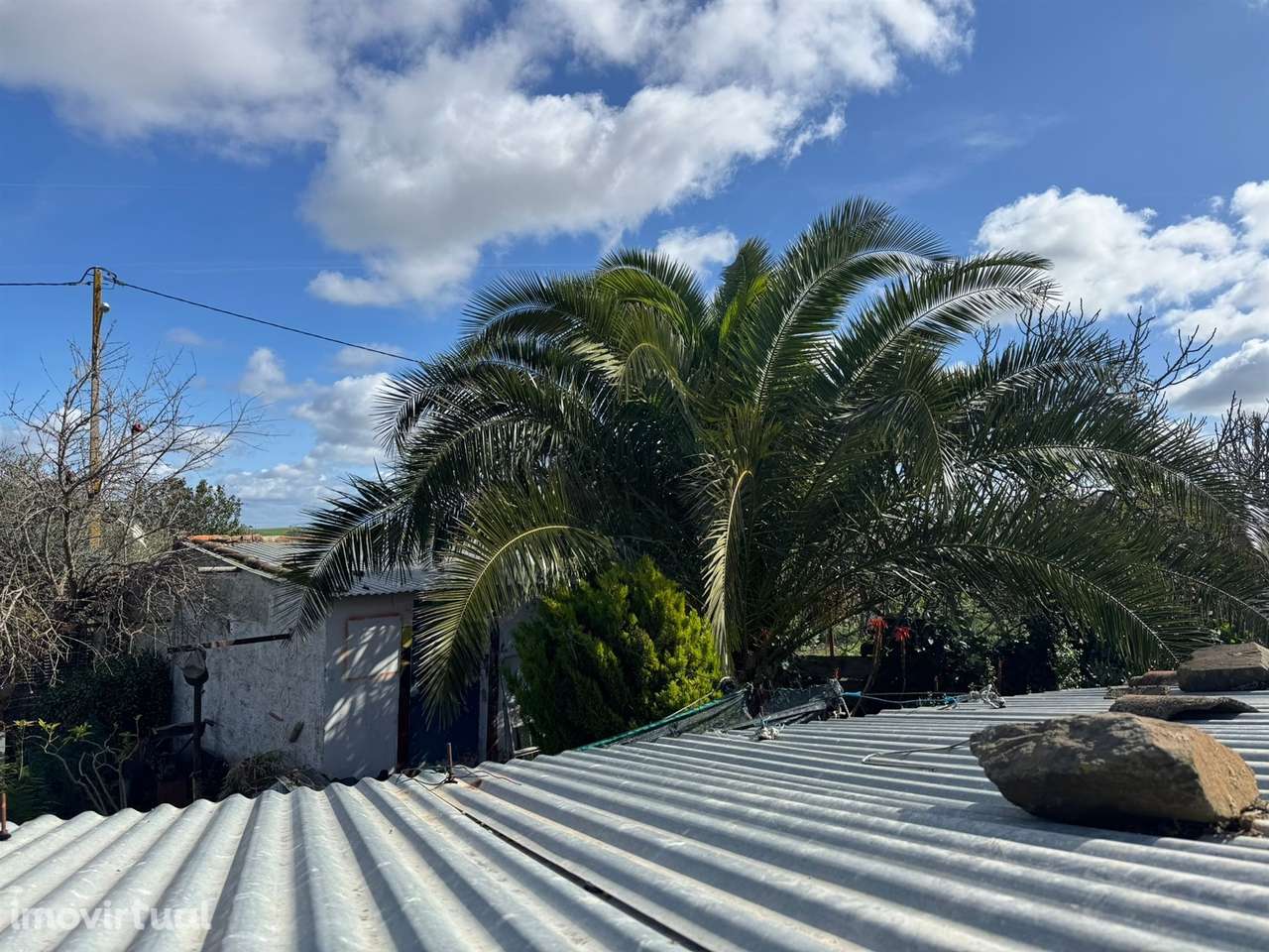 Habitação 4 divisões para remodelar, Castro Verde, Alentejo, Portugal - Grande imagem: 3/14