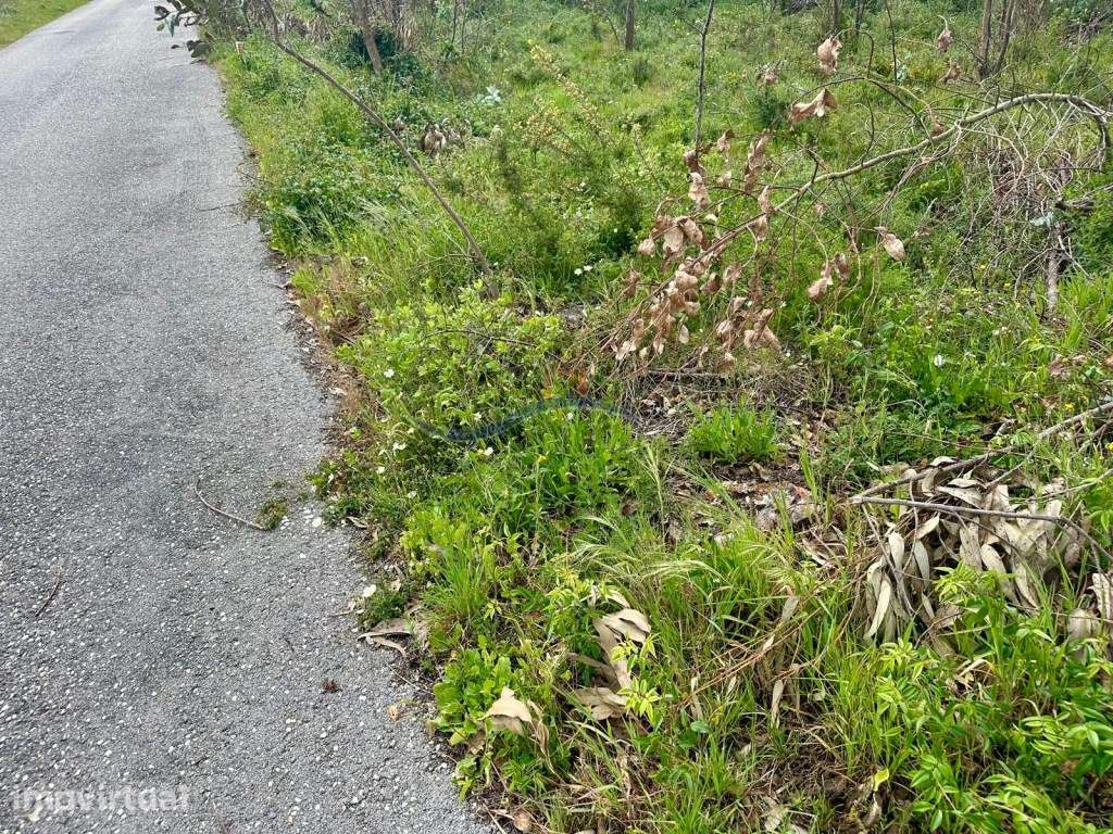 Terreno - Monte Real - Grande imagem: 2/14