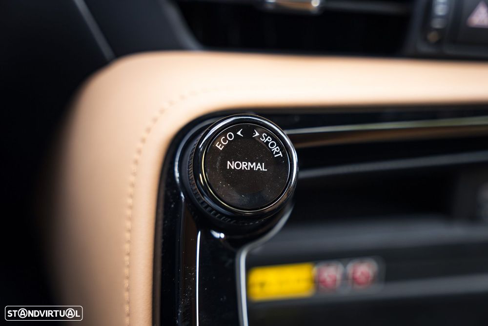 Lexus NX 450h+ Executive - 33