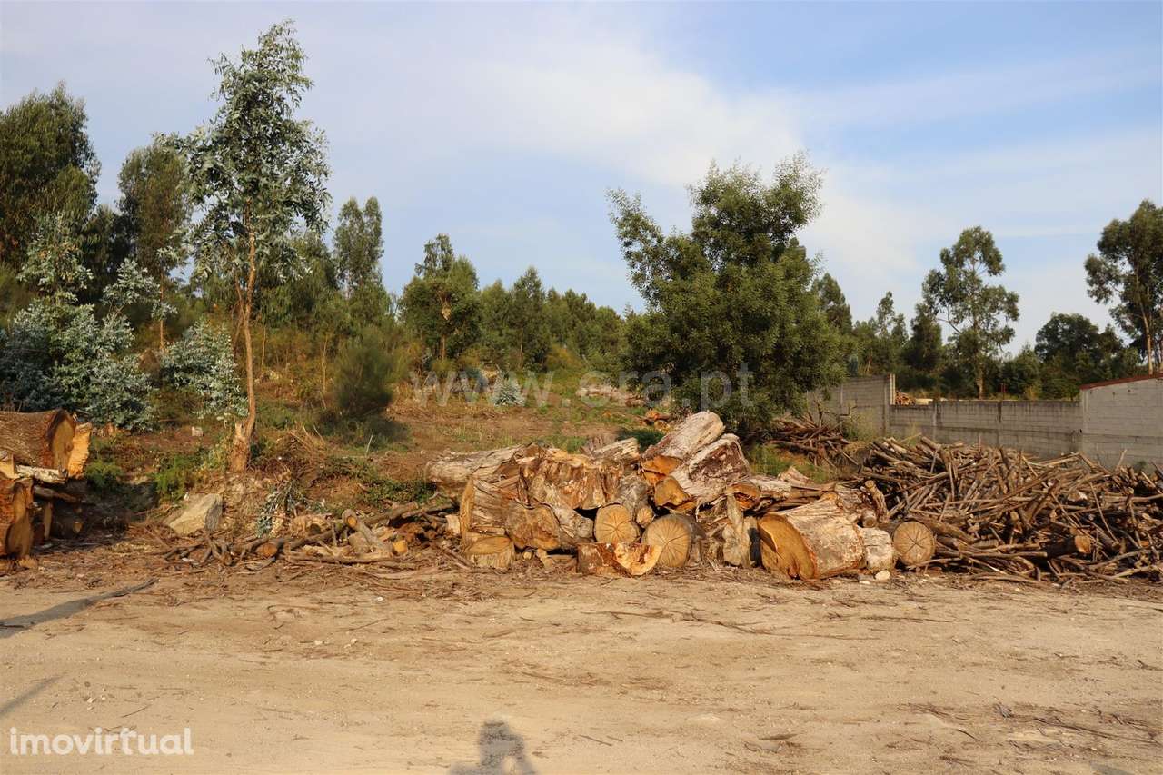 Terreno de Construção em Vilela, Paredes - Grande imagem: 3/4