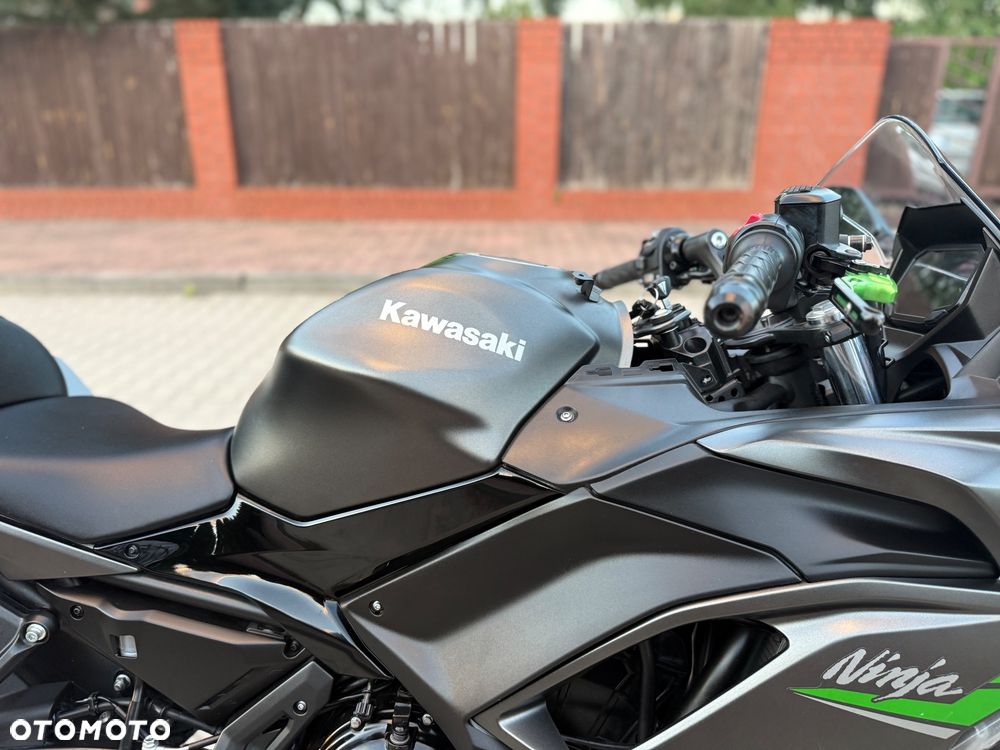 Kawasaki Ninja - 10