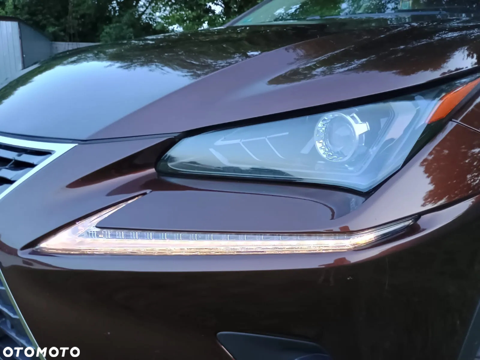 Lexus NX 300h Elegance AWD - 14