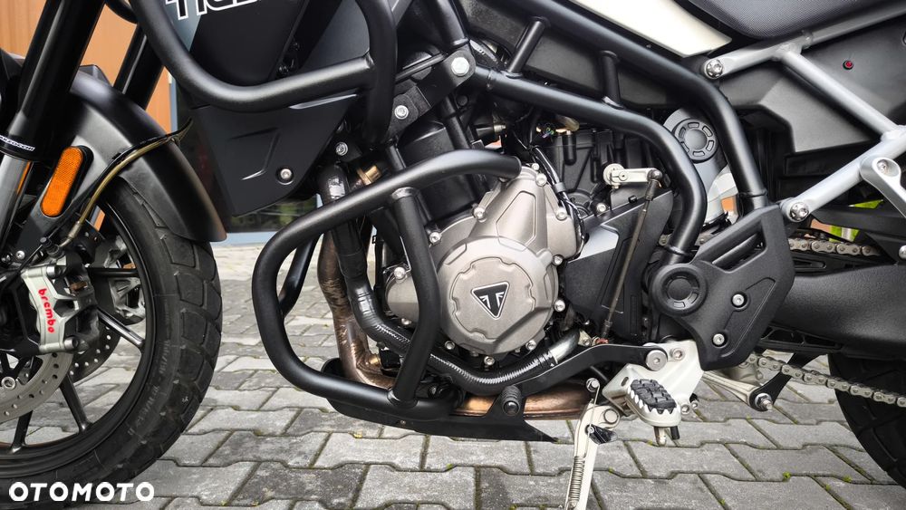Triumph Tiger - 23
