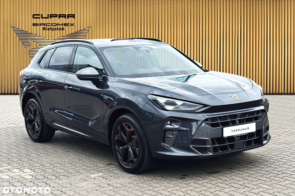 Cupra Terramar - 8