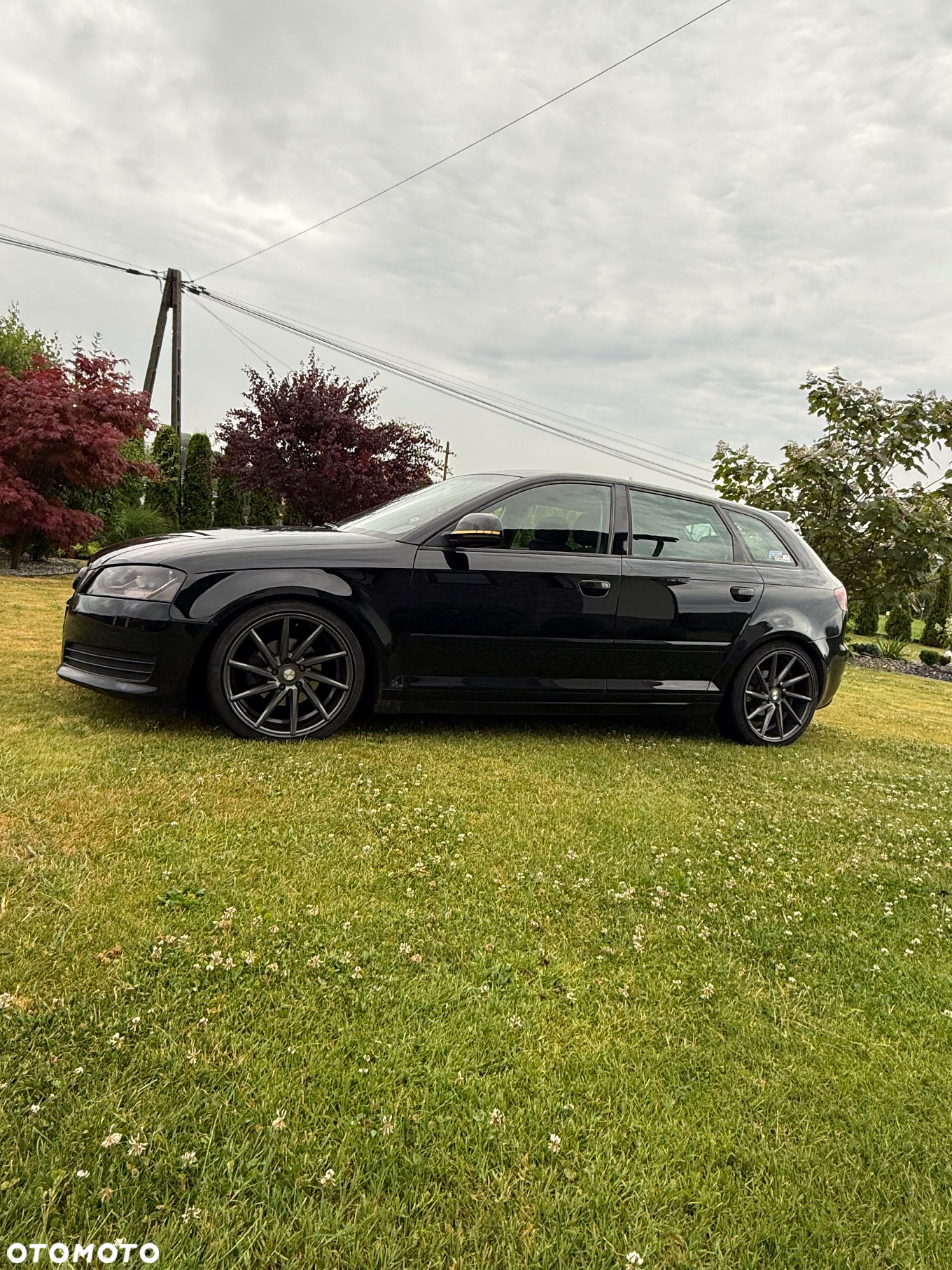 Audi A3 1.9 TDI Ambiente - 6
