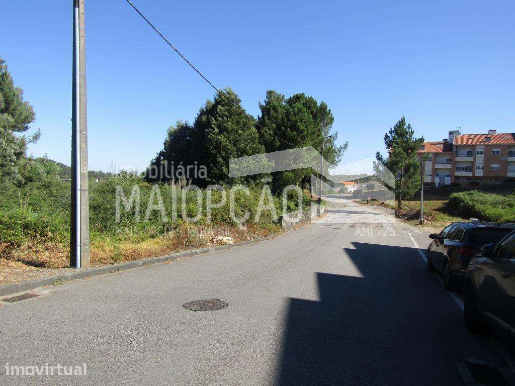 4 Terrenos Rusticos - Grande imagem: 5/13