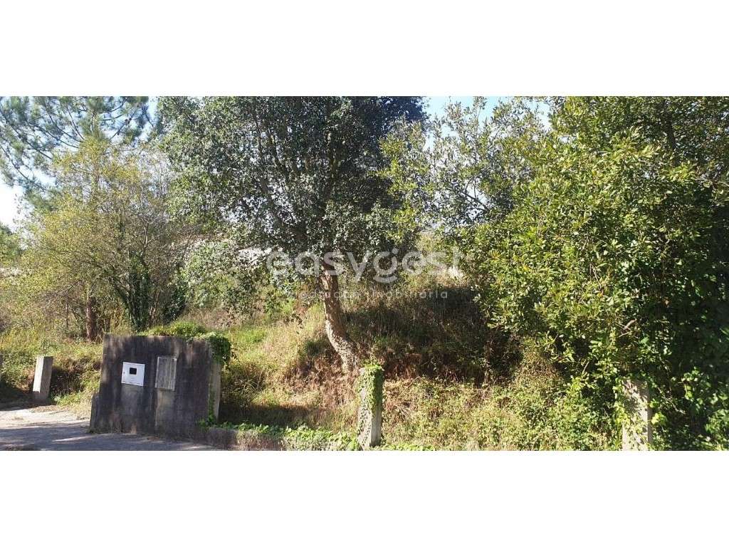 Lote para construção de Moradia na freguesia de Alquerubim - Grande imagem: 2/10