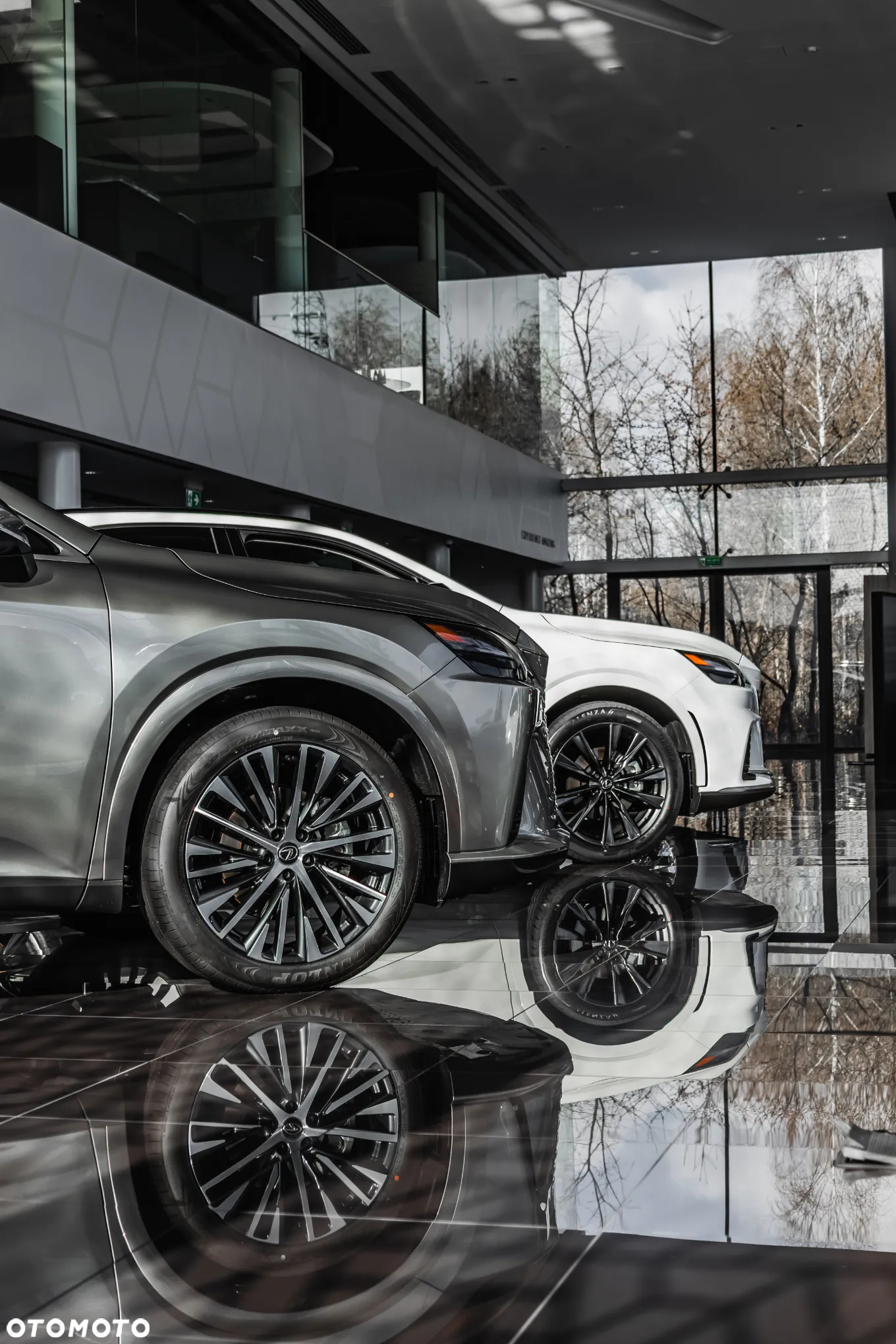 Lexus RX 350h Prestige - 12