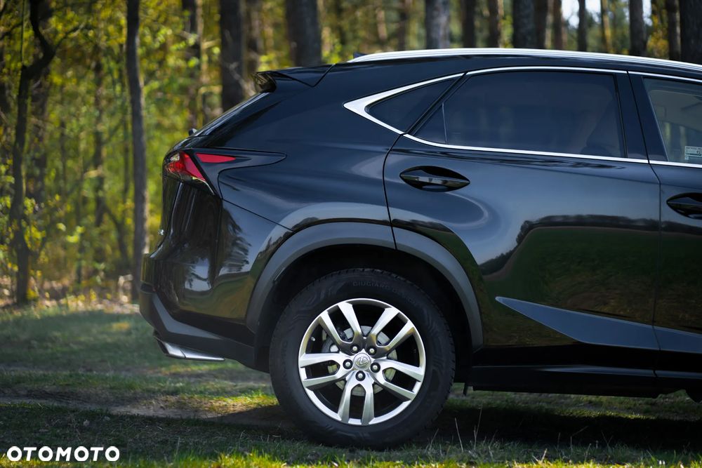 Lexus NX 300 Elegance 2WD - 19