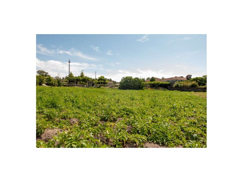 Quintinha para venda na Maia - Grande imagem: 3/30