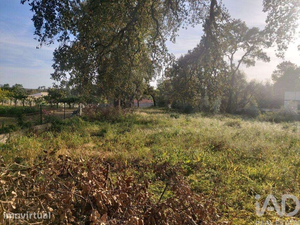 Terreno misto em Pedreiras - Grande imagem: 2/19