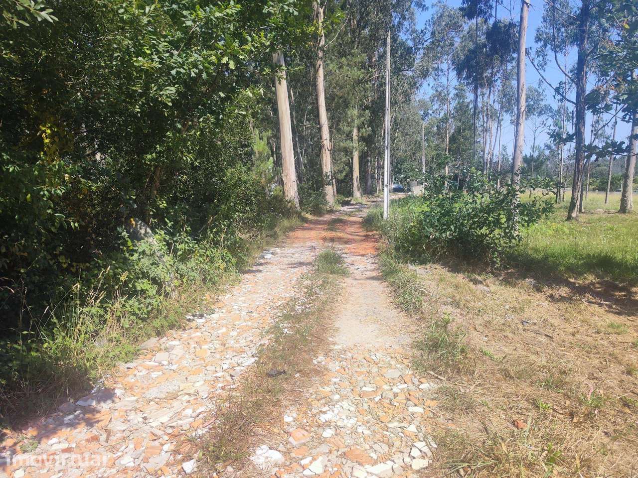 Terreno Rústico de 660 m² em Barqueiros, Barcelos - Grande imagem: 5/9