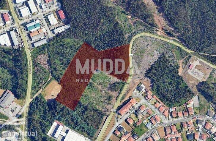 Terreno Industrial para venda em Santa Maria da Feira - Grande imagem: 4/4