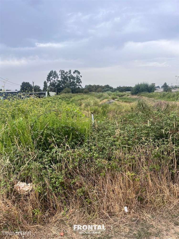 Terreno Para Venda – 6.000 m² | Localização Estratégica junto ao Aerop - Grande imagem: 3/9