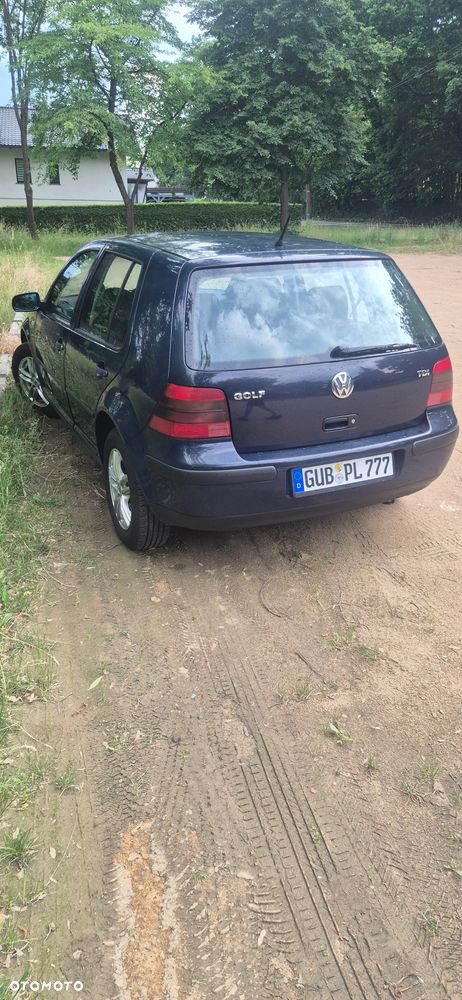 Volkswagen Golf - 6