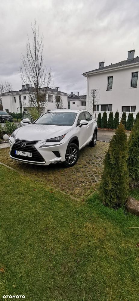 Lexus NX 300 Optimum AWD - 2