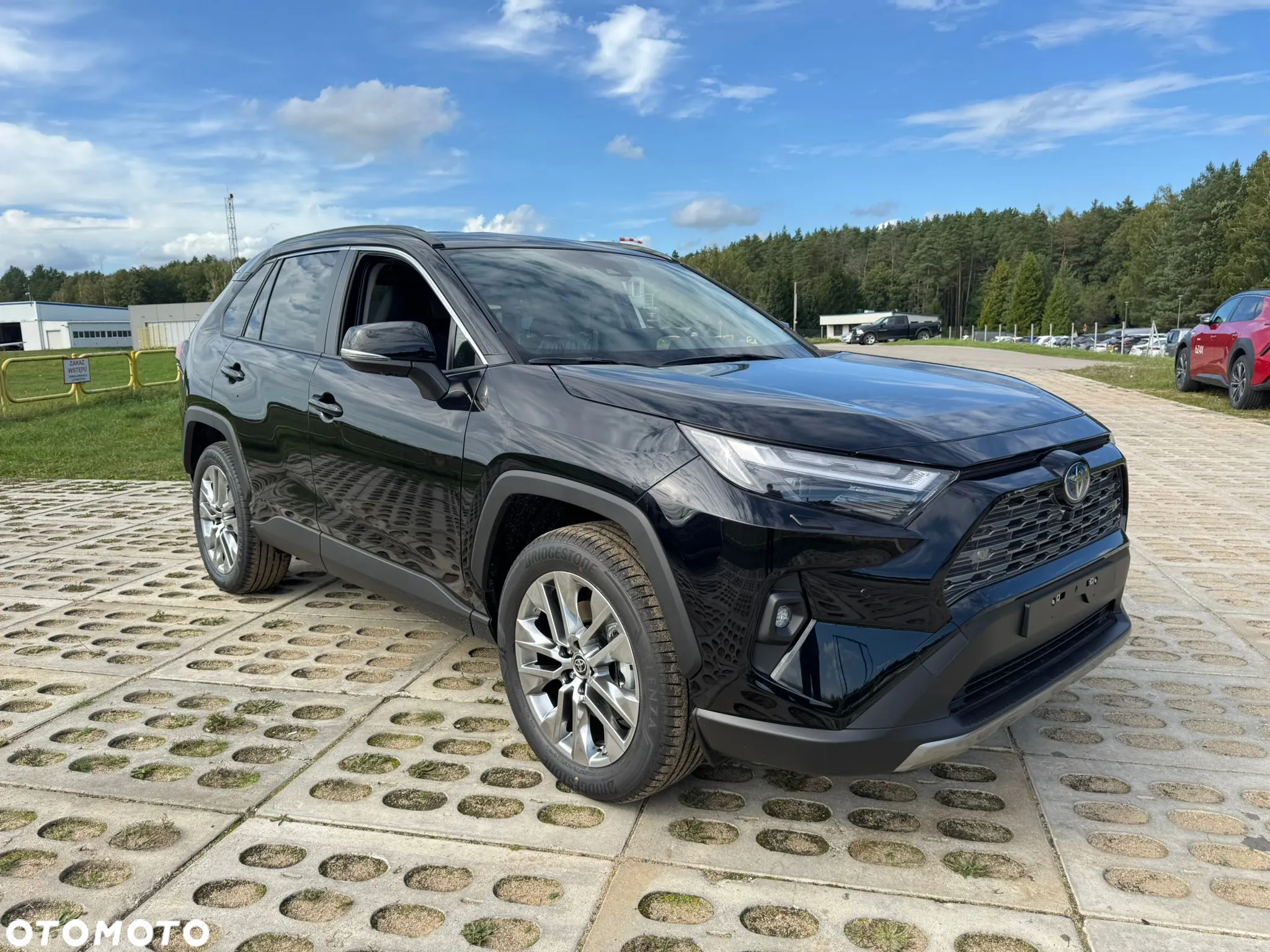 Toyota RAV4 2.5 Hybrid Executive 4x4 - 2