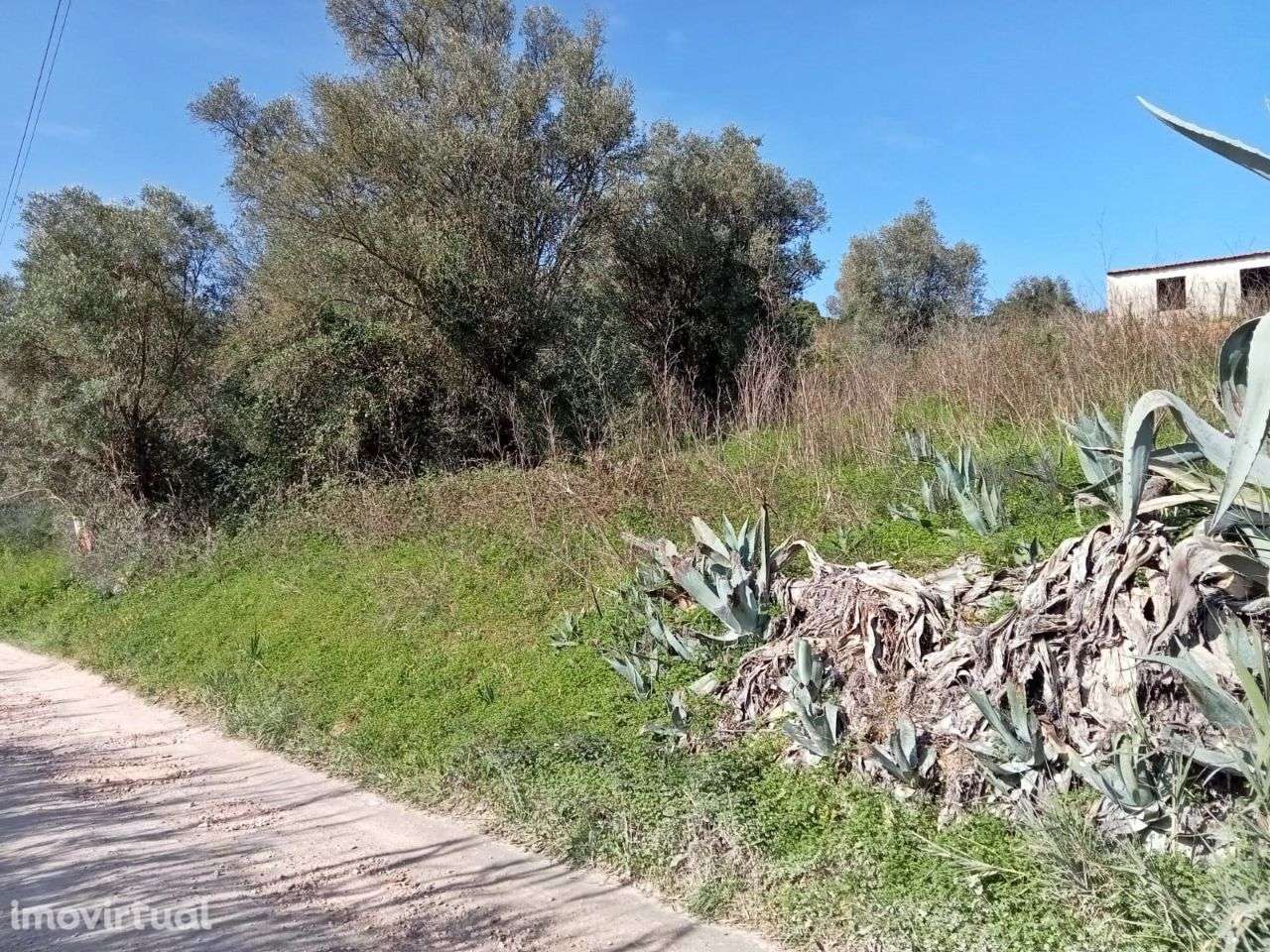 Terreno com 13000 m2 em Santarém - Grande imagem: 3/9