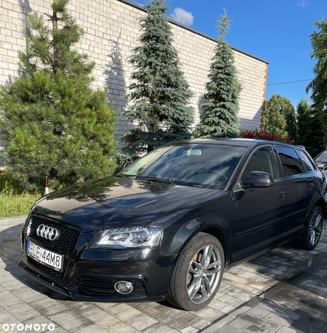 Audi A3 2.0 TDI DPF Ambition - 5
