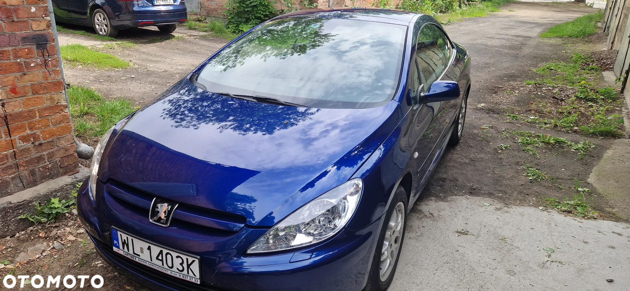 Peugeot 307 2.0 Mistral - 9