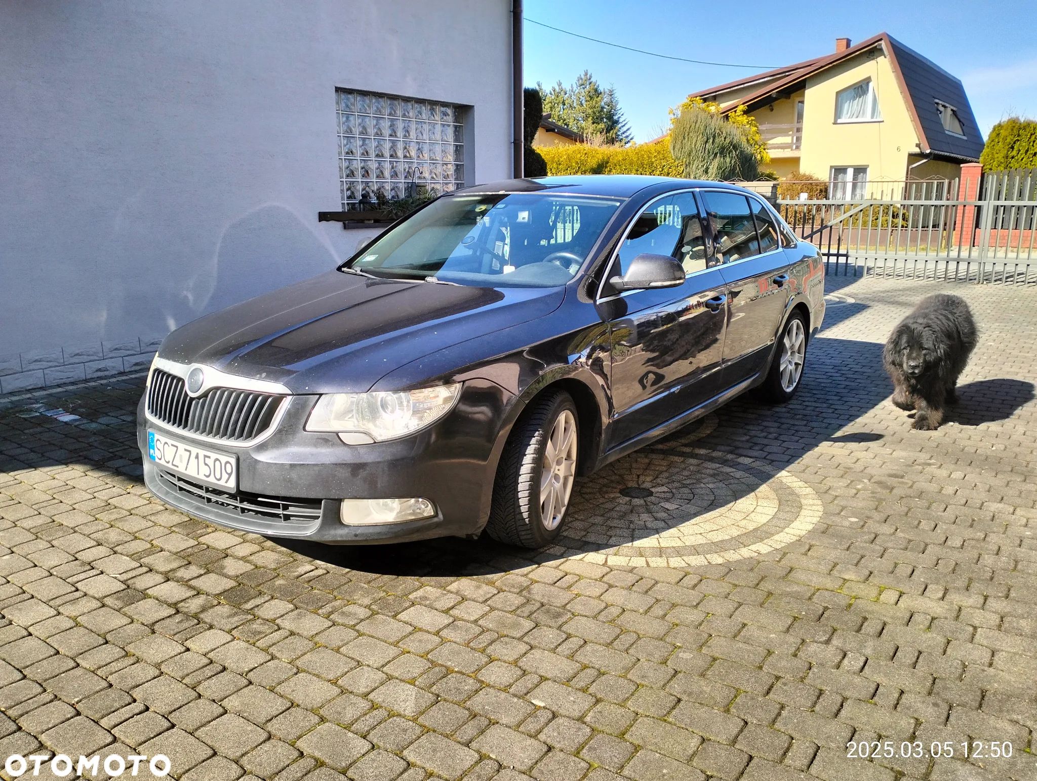Skoda Superb 1.9 TDI Comfort - 1