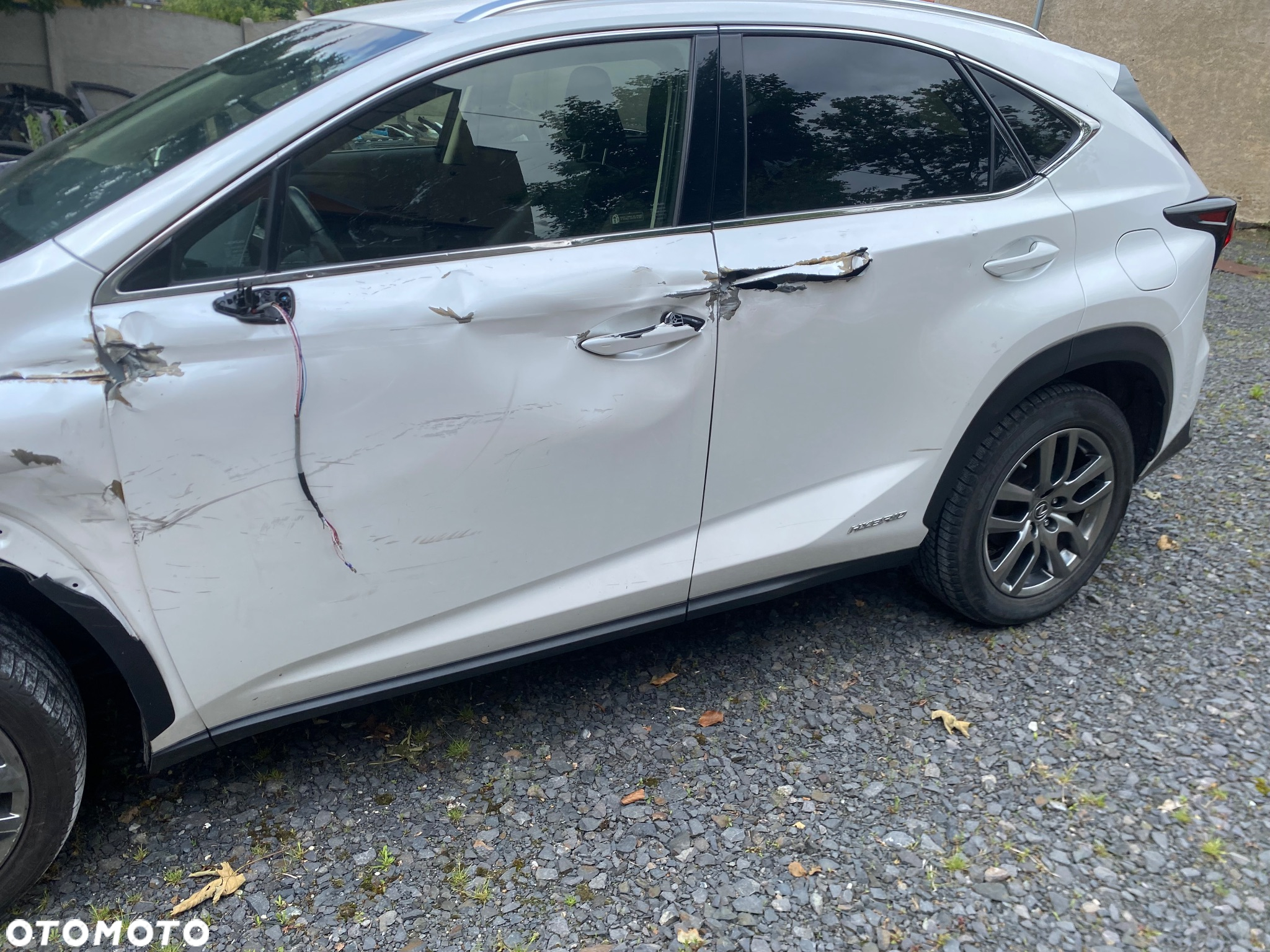 Lexus NX - 5