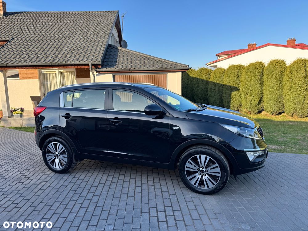 Kia Sportage - 35