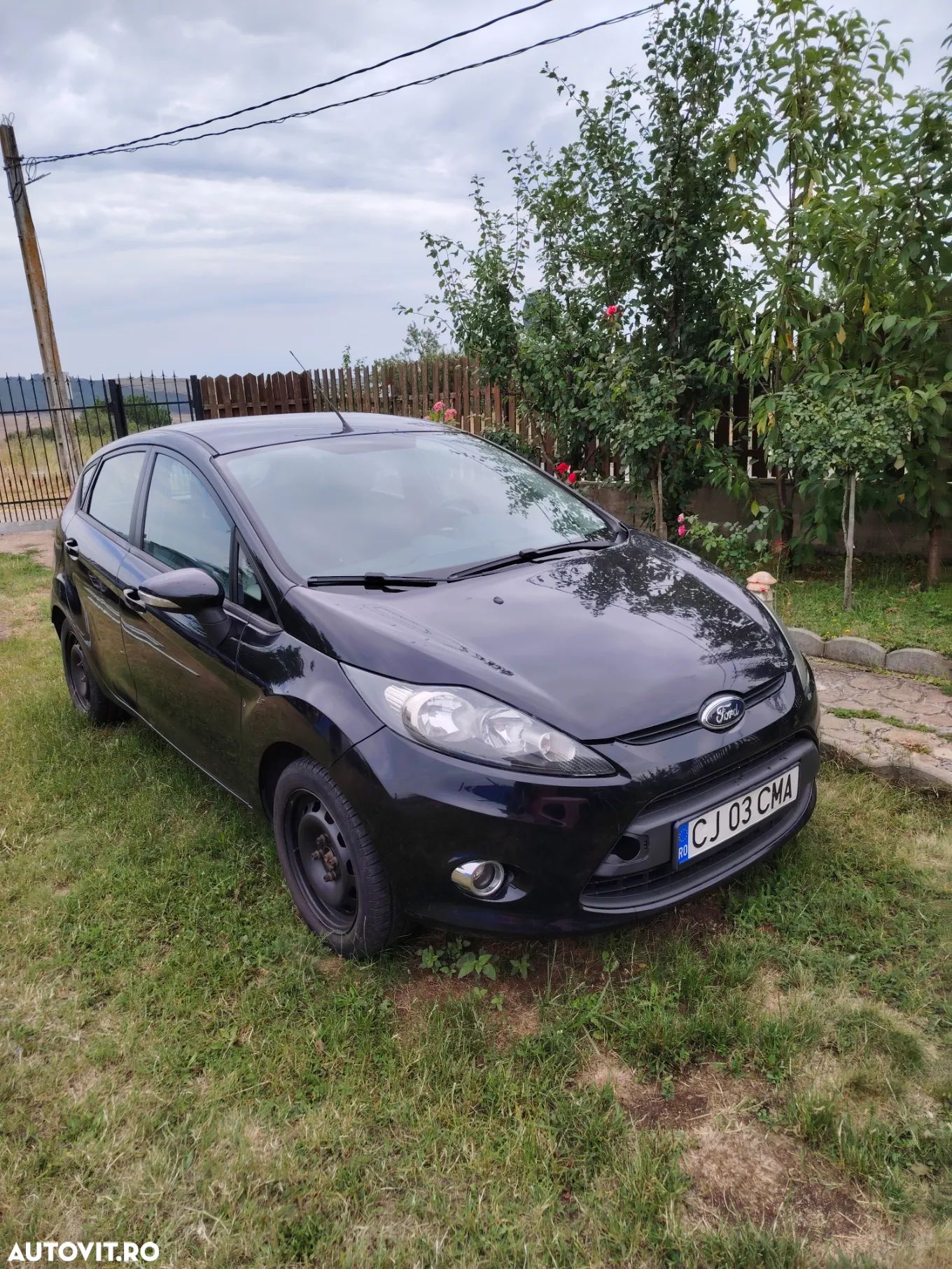 Ford Fiesta - 1