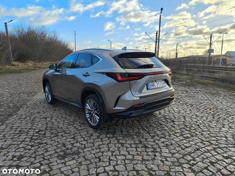 Lexus NX - 25