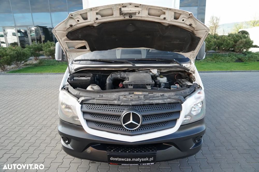 Mercedes-Benz SPRINTER 313 CDI / CONTAINER / 750 AXLE / TWIN / IMPORTAT - 38
