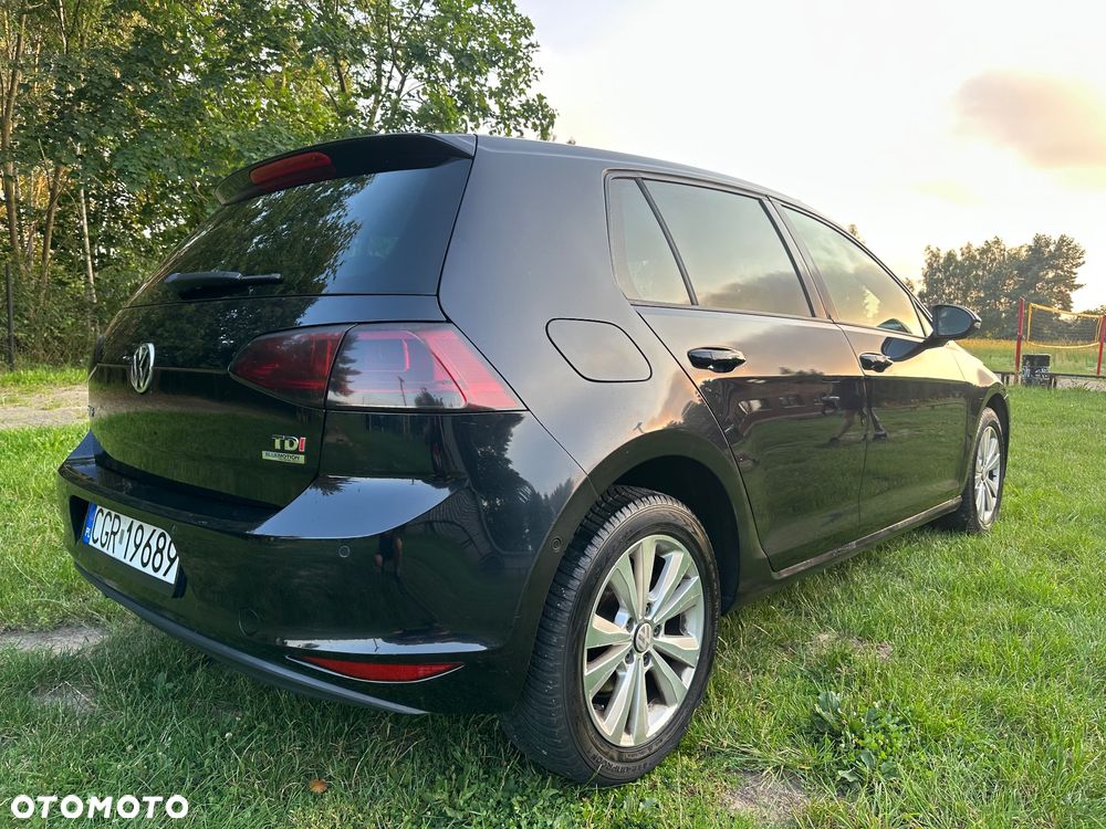 Volkswagen Golf - 8