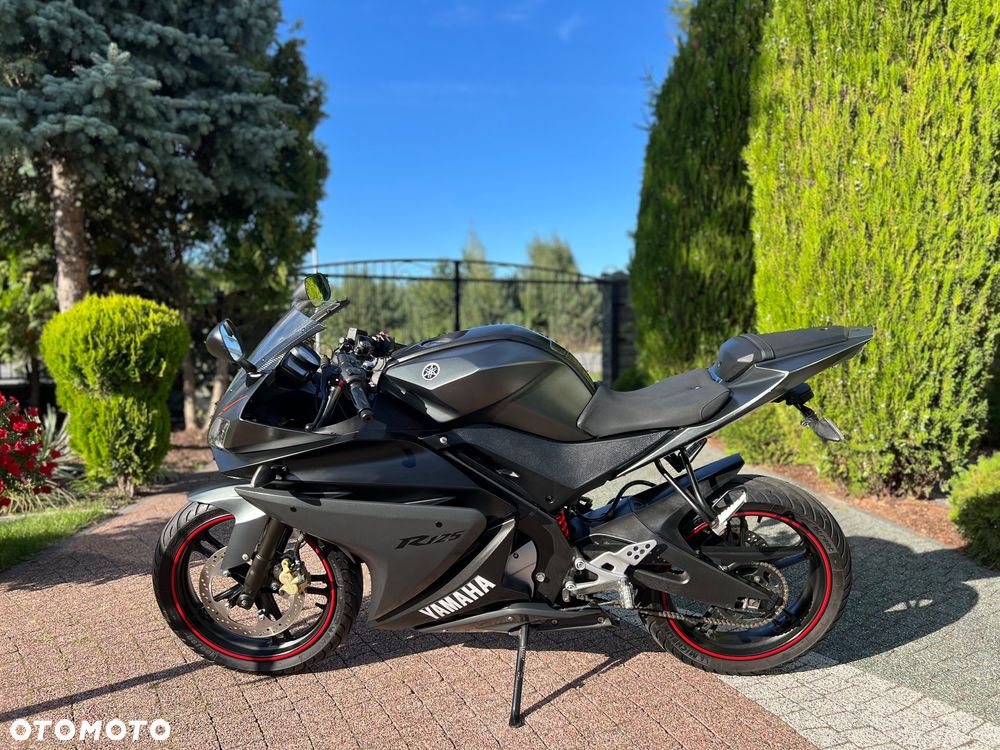 Yamaha YZF - 22
