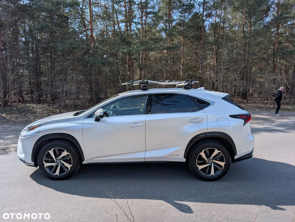 Lexus NX 300h Elegance + Business AWD - 7
