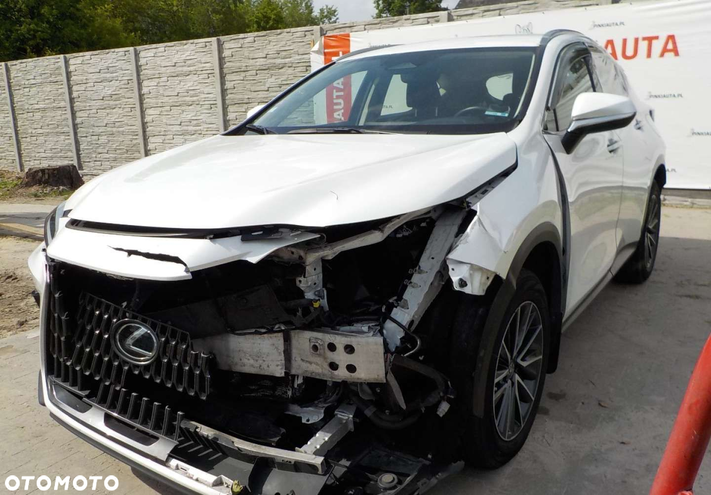 Lexus NX - 13