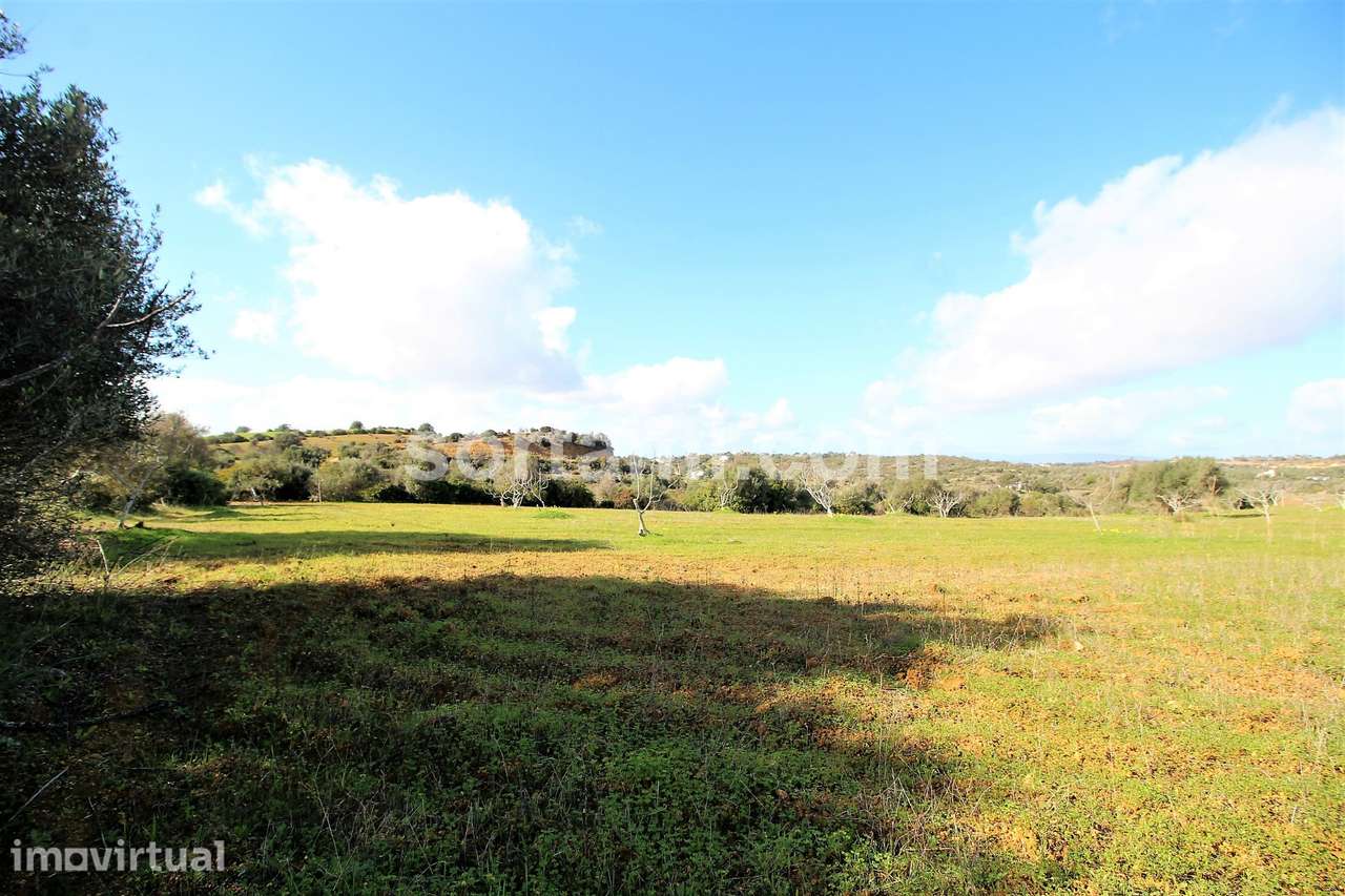 Terreno Rústico  Venda em Algoz e Tunes,Silves - Grande imagem: 2/9