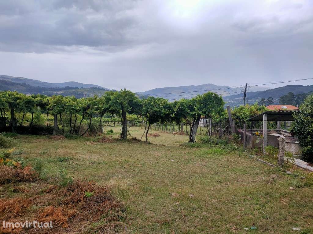 Terreno plano - Grande imagem: 5/5