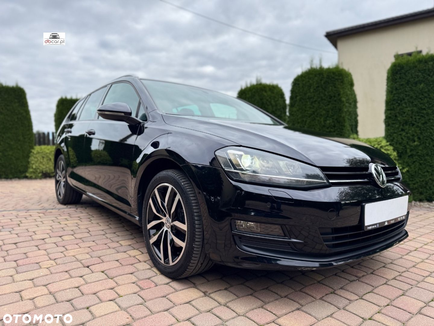Volkswagen Golf - 2