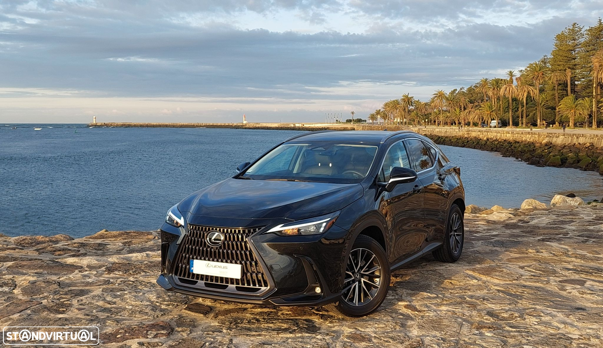 Lexus NX 450h+ - 2