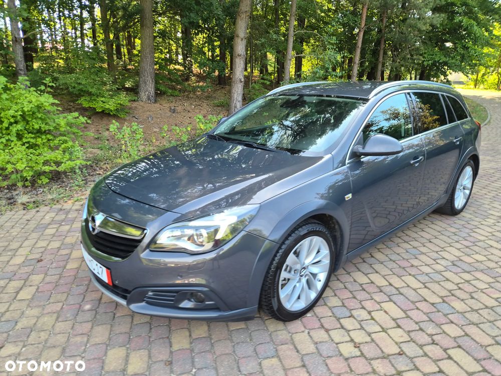 Opel Insignia CT 2.0 CDTI 4x4 S&S - 1